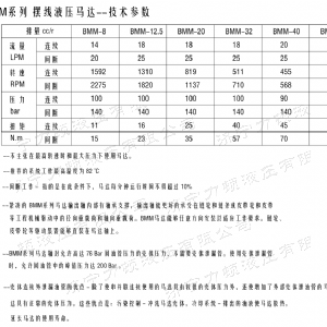 时博手机站·官方版在线-时博（中国）
侧油口系列马达