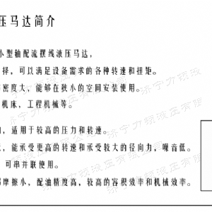 时博手机站·官方版在线-时博（中国）
后油口系列马达