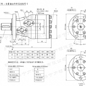 BMH系列交错油口时博手机站·官方版在线-时博（中国）马达
